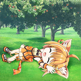 panel_collabo_0308.jpg